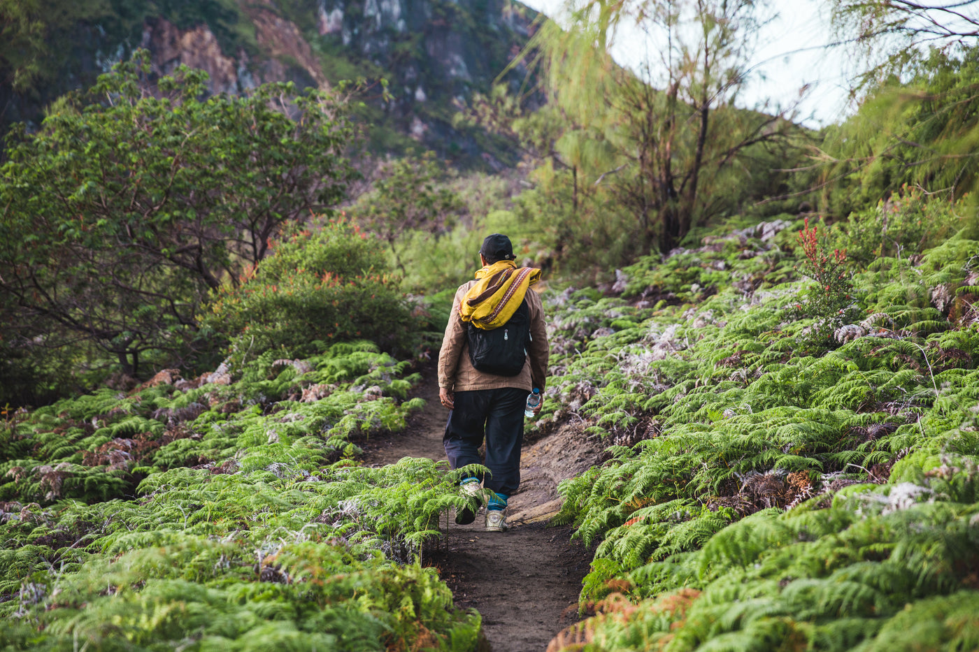 Hiking Insoles
