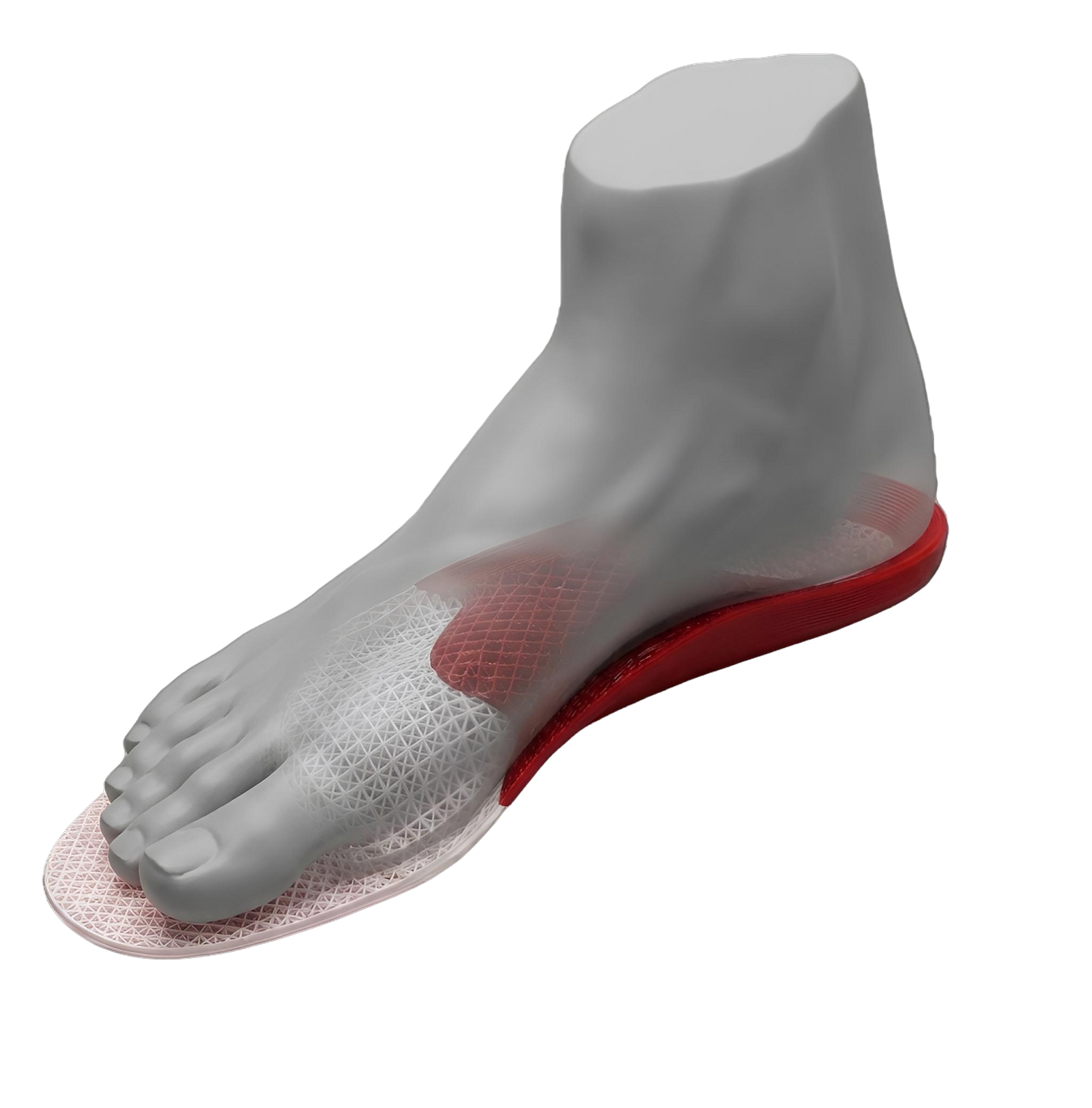 3D model showing a WearSun custom insole with personalized cushioning and support zones
